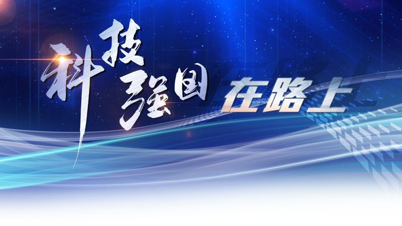 政府数据安全事件处理规范：关键步骤与应对策略